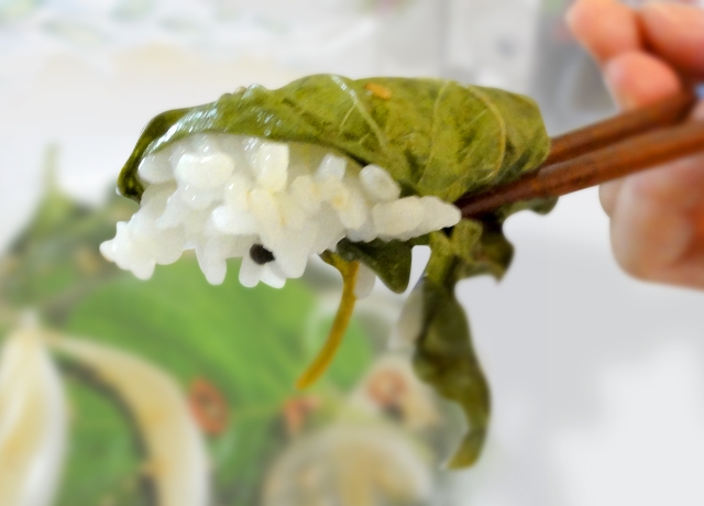 レシピ ご飯がすすむ ごまの葉のチム 韓国人が伝授する本場の韓国家庭料理レシピ 韓国料理大図鑑