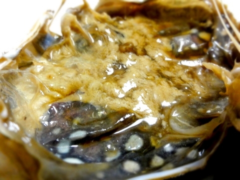 DSC00557.JPG