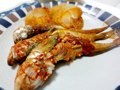 DSC01556.JPG