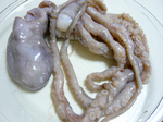 nakuchi_pocken_01.jpg