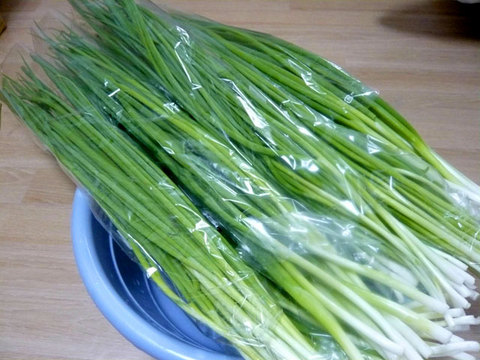 negi_kimchi_01.jpg