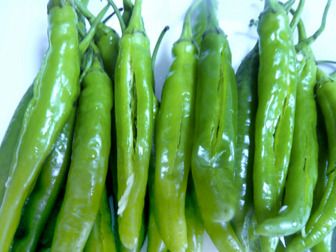 tenpura_04.jpg