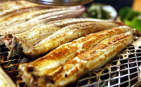unagi_03.jpg