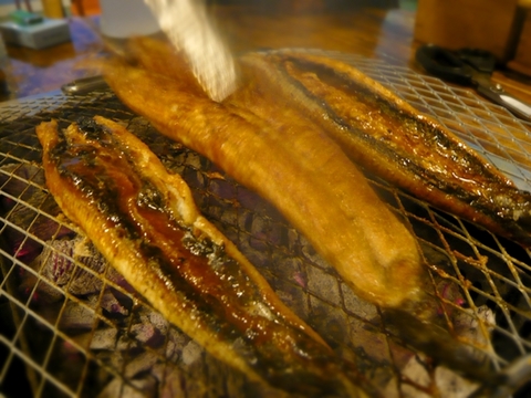 unagi_105.JPG